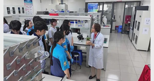 Có nên để hoạt động trải nghiệm, hướng nghiệp là môn học riêng?
