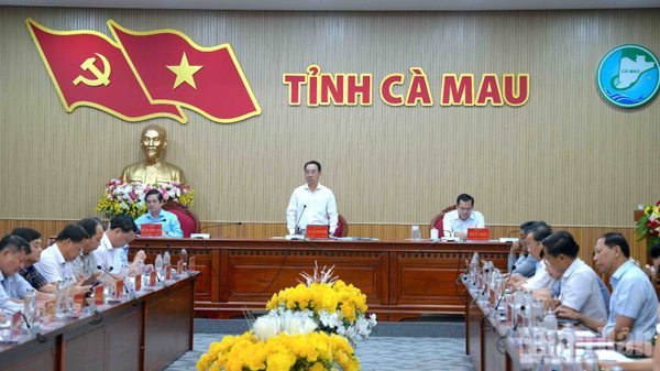 Cà Mau đẩy nhanh tiến độ, quyết tâm hoàn thành nhiệm vụ năm 2026