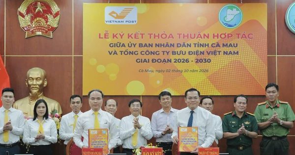 Cà Mau đưa kỹ năng số đến từng nhà, học để dùng được