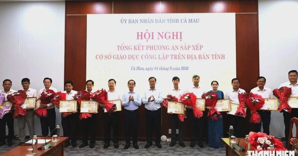 Cà Mau giảm hơn 50% đầu mối cơ sở giáo dục công lập sau sắp xếp