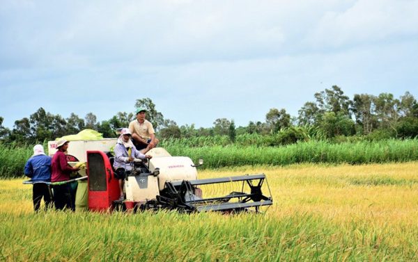 Cà Mau gỡ điểm nghẽn vốn để nông dân làm kinh tế nông nghiệp