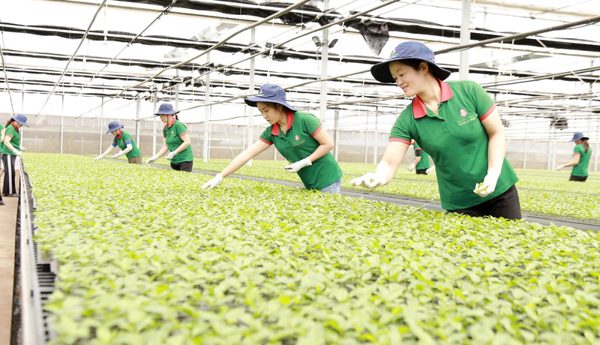 Cà Mau hỗ trợ giảm nghèo gắn với an sinh