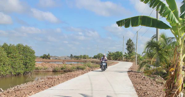 Cà Mau hoàn thiện hạ tầng, nâng giá trị nghề muối