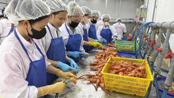Cà Mau làm gì để tăng trưởng hai con số trong quý cuối năm?