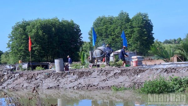 Cà Mau ra quân làm đường giao thông, mở lối phát triển vùng nông thôn