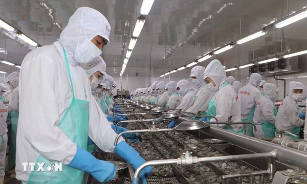 Cà Mau tăng tốc trong quý 4, hướng tới mục tiêu tăng trưởng trên 10%