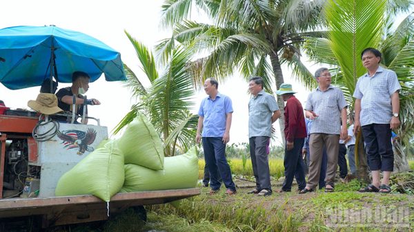 Cà Mau ưu tiên an toàn của dân, khẩn trương khôi phục sản xuất