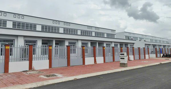 Cà Mau: Xây dựng 3.669 căn nhà ở xã hội cho thuê và nhà ở công nhân giai đoạn 2026-2030