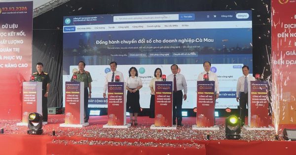 Cà Mau yêu cầu mỗi người có ít nhất một kỹ năng số phục vụ cuộc sống
