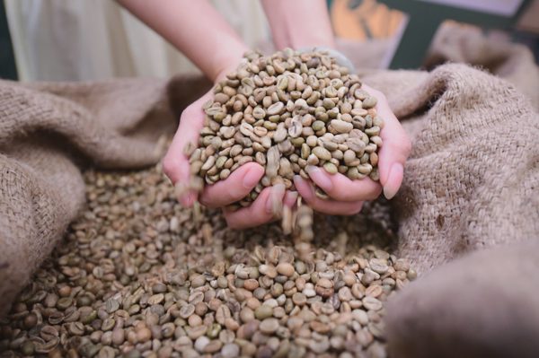 Cà phê Robusta Việt chiếm 2/5 sản lượng thế giới, sao khách chưa nhớ tên?