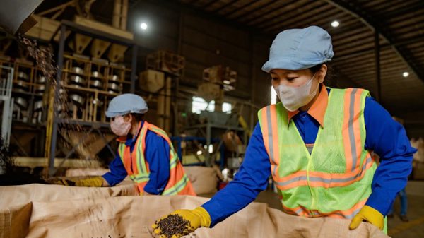 Cà-phê Việt Nam mở rộng thị trường xuất khẩu