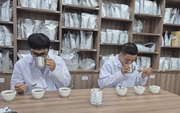 Cà phê Việt tăng tốc chế biến sâu từ lợi thế Robusta