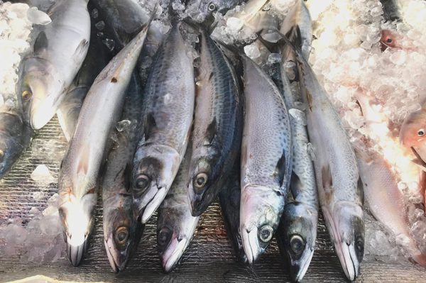 Cá saba nhập khẩu nhiều mức giá khác nhau, có loại gần 350.000 đồng/kg