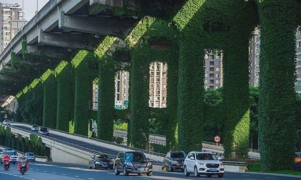 Các đô thị trên thế giới phủ xanh công trình giao thông thế nào?
