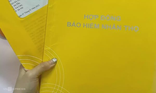 Các hãng bảo hiểm ghi nhận lãi tăng mạnh nhờ hoạt động tài chính