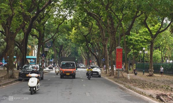 Cách cây xanh giúp thành phố mát hơn 5 độ C