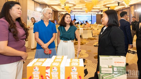 Cải thiện điều kiện lao động trong chuỗi giá trị tôm, lúa gạo