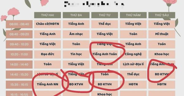 Cấm ép học sinh học môn liên kết với nước ngoài dưới mọi hình thức