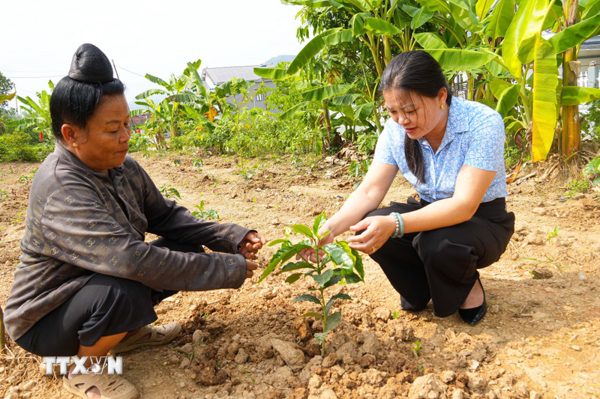 Cán bộ trẻ ở Điện Biên: Học hỏi người đi trước, phát huy thế mạnh của thế hệ sau