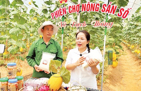 Cán bộ xã “lên sóng lên sóng” kể chuyện văn hóa