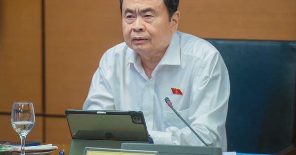 'Cần chế tài mạnh ngăn bỏ cọc, thông đồng, dìm giá khi đấu giá tài sản'