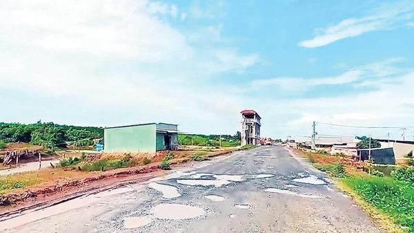 Cần đẩy nhanh tiến độ công trình đê biển Đông