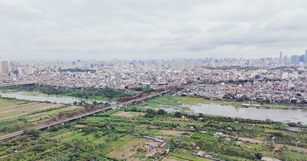 Cần quy định rõ trách nhiệm trong xử lý vi phạm đất đai