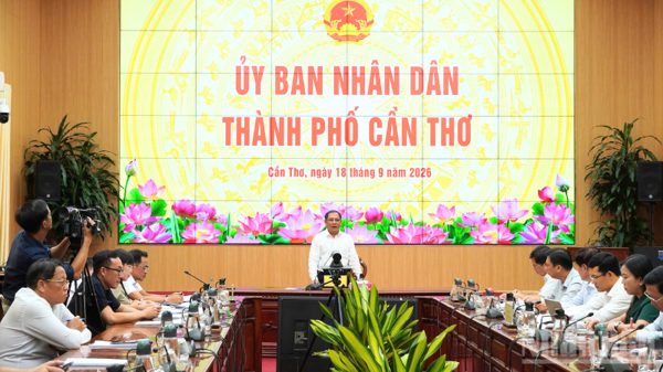 Cần Thơ chuẩn bị 25.000 chậu lúa cho Festival quốc tế ngành hàng lúa gạo