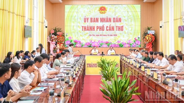 Cần Thơ chuẩn bị 25.000 chậu lúa phục vụ Festival quốc tế ngành hàng lúa gạo Việt Nam