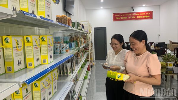 Cần Thơ chuẩn bị gần 3.000 tỷ đồng hàng hóa bình ổn thị trường Tết