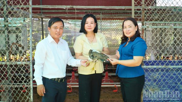 Cần Thơ đưa công nghệ và kinh tế tuần hoàn vào sản xuất nông nghiệp