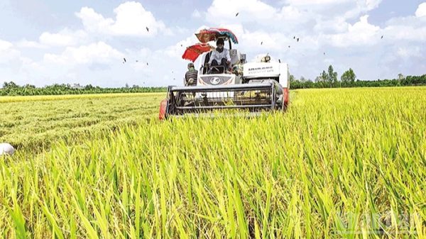 Cần Thơ: Nâng cao chất lượng để nông sản vươn xa