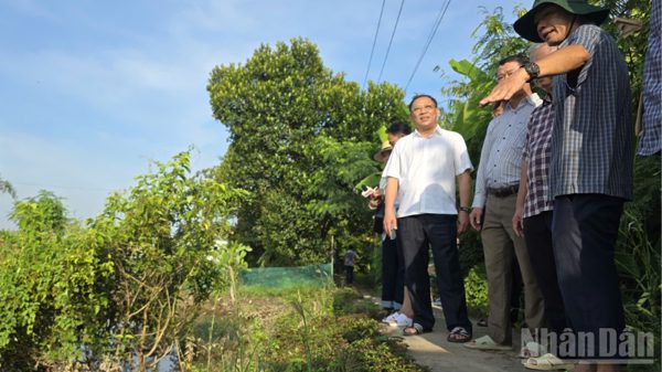 Cần Thơ rà soát các điểm đê xung yếu trước nguy cơ triều cường lập đỉnh lịch sử