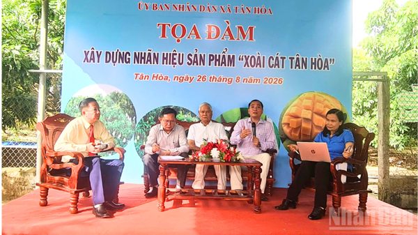 Cần Thơ: Xây dựng nhãn hiệu “Xoài cát Tân Hòa” gắn với chuỗi giá trị