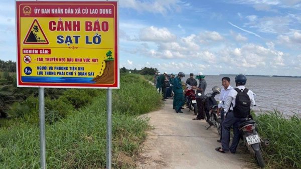 Cần Thơ xây kè khẩn cấp chống sạt lở đê biển tại Cù Lao Dung