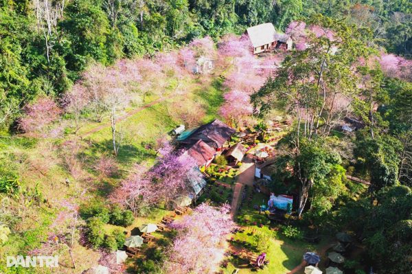 Cảnh báo tình trạng rao bán đất công, đất rẫy ở “Đà Lạt thứ hai”