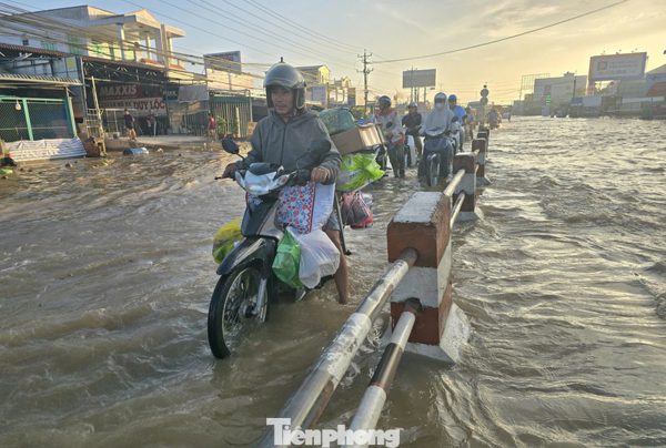 Cảnh báo triều cường gây ngập nhiều nơi ở Vĩnh Long