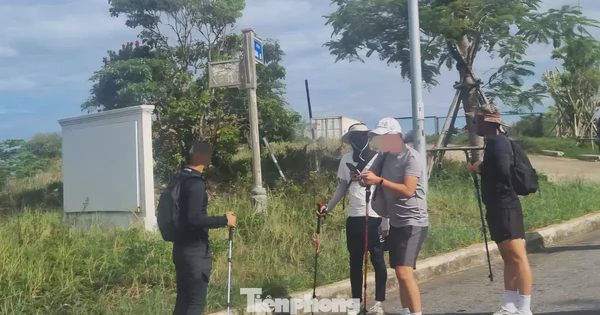 Cảnh báo việc trekking tự phát ở rừng đặc dụng Sơn Trà