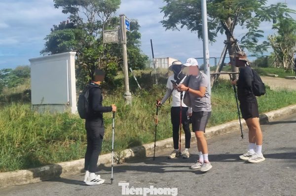 Cảnh báo việc trekking tự phát ở rừng đặc dụng Sơn Trà