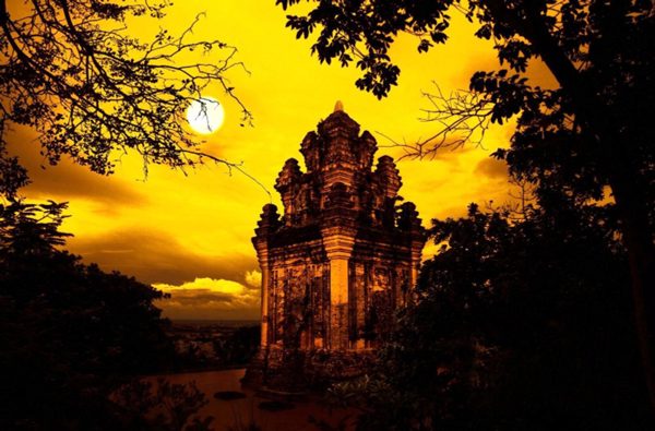 Cánh nhạn nghìn năm