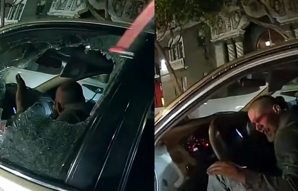 Cảnh sát Mỹ nhầm lẫn biển số xe, khống chế thô bạo tài xế nhưng không nhận lỗi