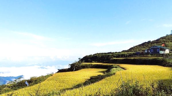 Cao Bằng: Xã Cô Ba chuyển mình phát triển kinh tế gắn với du lịch cộng đồng
