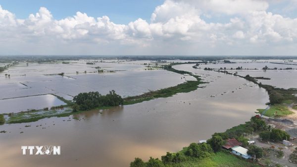 Cấp bách kiểm soát, ứng phó tình huống sạt lở khẩn cấp bờ sông Vàm Cỏ Tây