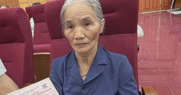Cấp nhầm sổ đất cho dân, chính quyền xã giải quyết như thế nào?