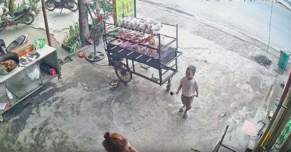 Cậu bé 3 tuổi xin hoa hàng xóm, quỳ xuống tặng mẹ: Khoảnh khắc 'tan chảy'