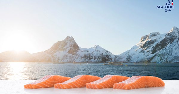 Câu chuyện chưa kể phía sau món sushi cá hồi Na Uy