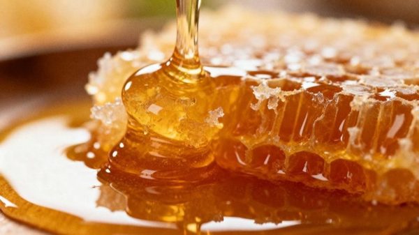Câu chuyện sức khỏe đằng sau Trà mật ong BONCHA