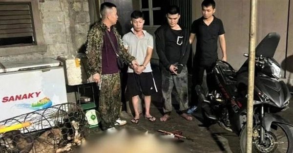 Cẩu tặc dùng súng tự chế trộm 9 con chó trong một đêm