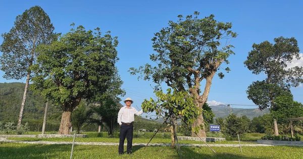 Cây cà phê trên trang sách và Vườn di sản Yersin
