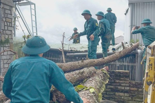 Cây thông cổ thụ đổ ập vào nhà người dân ở Đà Lạt